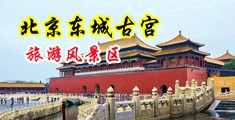 日本长腿无毛逼自慰私处中国北京-东城古宫旅游风景区